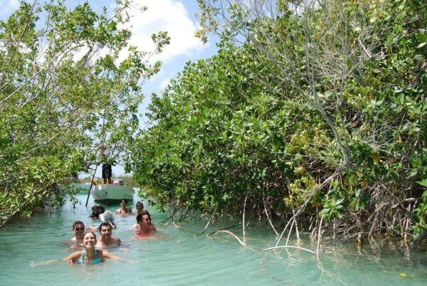 Tulum: Sian Kaan Bisophere Reserve Full-Day Tour - Swimming and Snorkeling