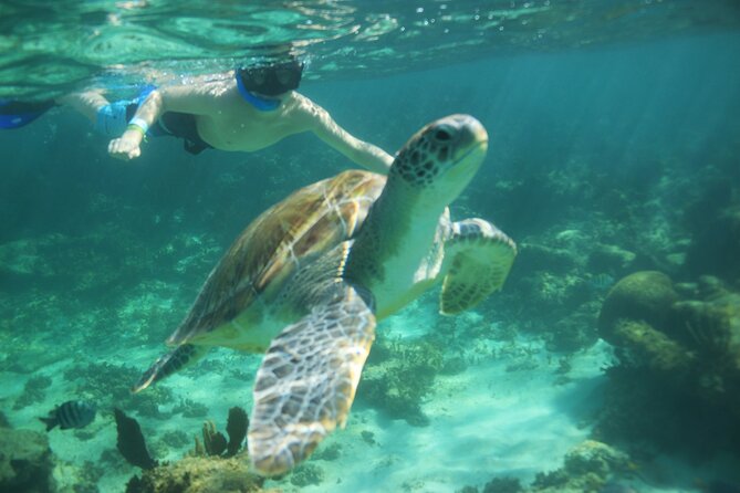 Tulum Small-Group Cenote and Snorkeling Tour From Cancún  - Cancun - Traveler Photos and Reviews