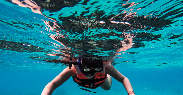 Tulum: Snorkeling at Paradise Reef - Good To Know