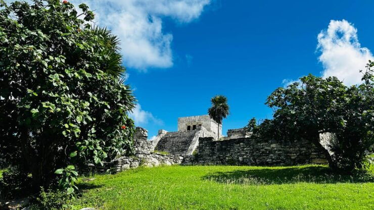 Tulum, Snorkeling & Cenote Adventure - Good To Know