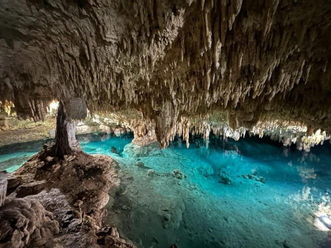 Tulum: Snorkeling in Open and Cave Cenotes With Ruins Tour - Inclusions