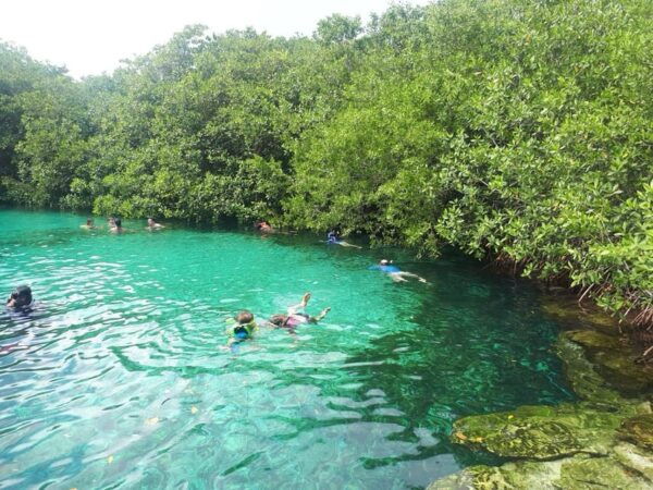 Tulum: Snorkeling in Open and Cave Cenotes With Ruins Tour - Venturing Into Cave Cenote