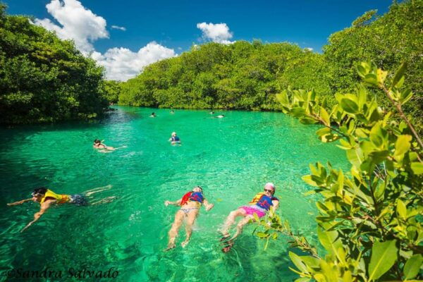 Tulum Snorkeling Tour - Casa Cenote + Ocean Reef & Lunch - Important Information