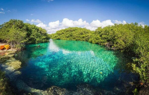 Tulum Snorkeling Tour - Casa Cenote + Ocean Reef & Lunch - Important Information