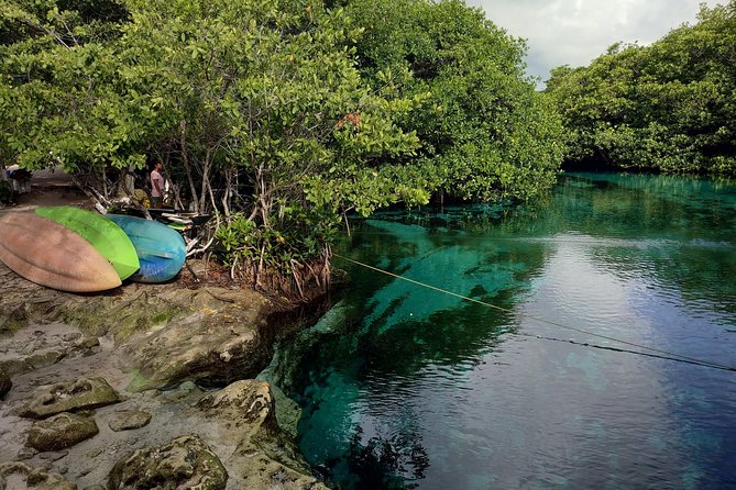 Tulum to Dos Ojos and Casa Cenote Small-Group Adventure Tour - Tour Overview
