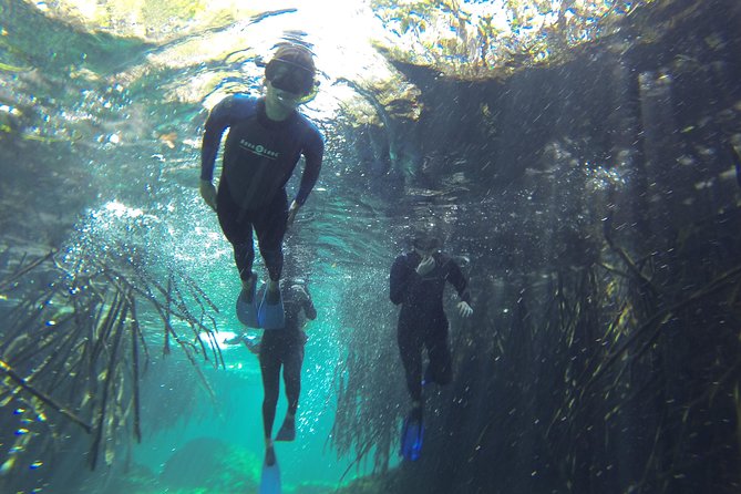 Tulum to Dos Ojos and Casa Cenote Small-Group Adventure Tour - Tour Details and Activities