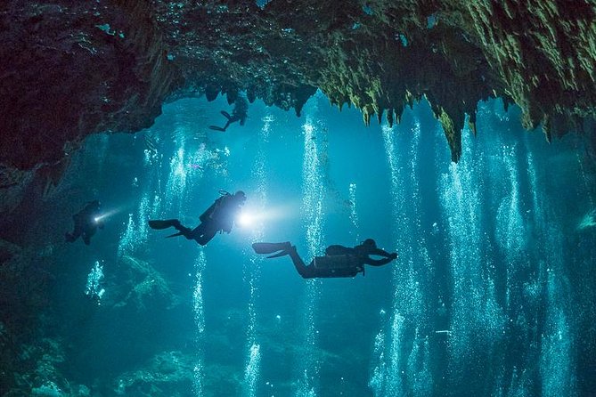 Tulum to Dos Ojos and Casa Cenote Small-Group Adventure Tour - Common Questions