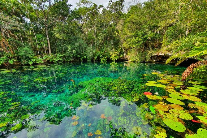 Tulum to Sian Kaan Mayan Wetlands, Muyil Ruins Afternoon Tour - Itinerary