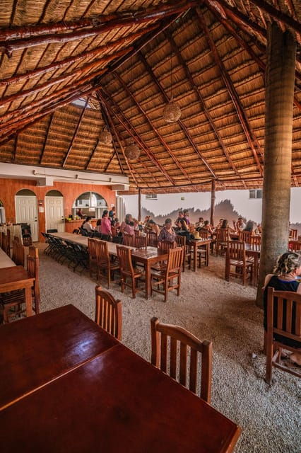 Tulum Tour and Casa Tortuga Cenote and Playa Del Carmen: - Good To Know