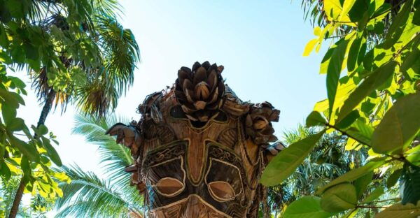 Tulum Tour and Casa Tortuga Cenote and Playa Del Carmen: - Free Time in Playa Del Carmen