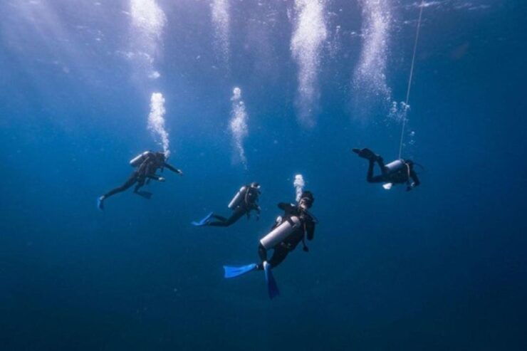 Tulum: Try Scuba Diving Adventure - Booking Options and Details