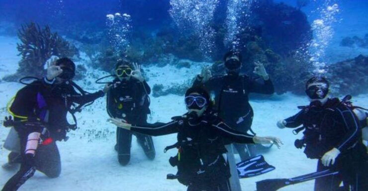 Tulum: Try Scuba Diving Adventure - Activity Information and Requirements