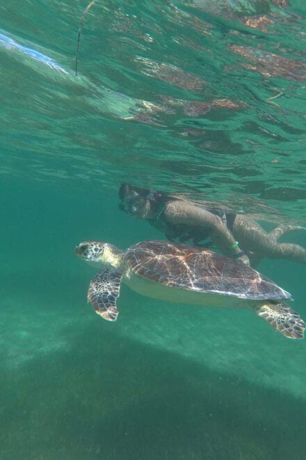 Tulum: Tulum Mayan Ruins and Thrilling Reef Snorkel - Frequently Asked Questions