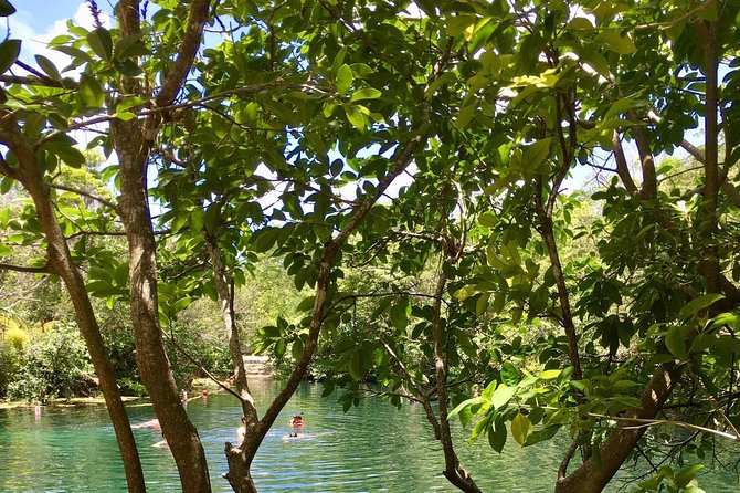 Tulum Two Cenotes Tour With Bike and Lunch - Tour Highlights of the Tulum Cenotes