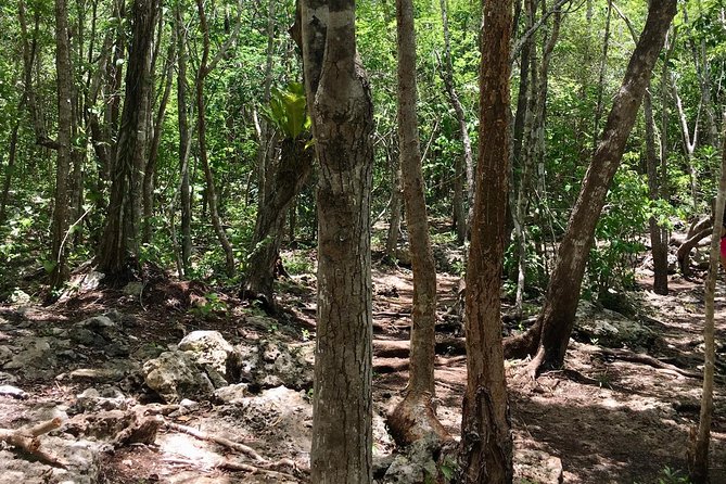 Tulum Two Cenotes Tour With Bike and Lunch - Cancellation Policy for Tulum Cenotes Tour