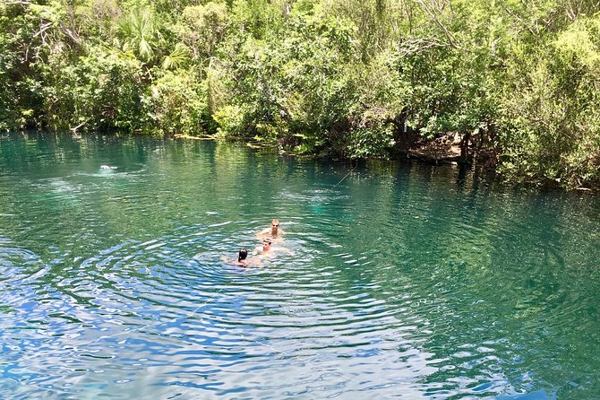 Tulum Two Cenotes Tour With Bike and Lunch - The Sum Up