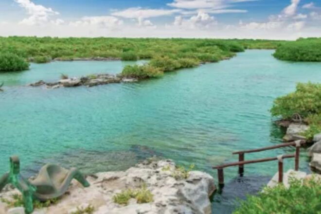Tulum Yalku Plus - Booking Information