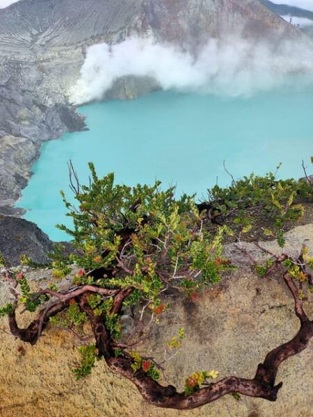 Tumpak Sewu - Bromo - Ijen Crater 3D2N Starting From Surabaya/Malang - Important Travel Information