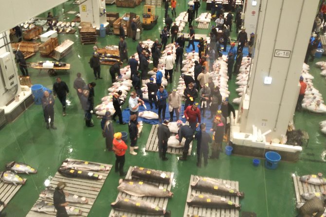 Tuna Auction at Toyosu Market With Qualified Guide and Early Morning Tour of Tsukiji Outer Market - Tuna Auction Experience
