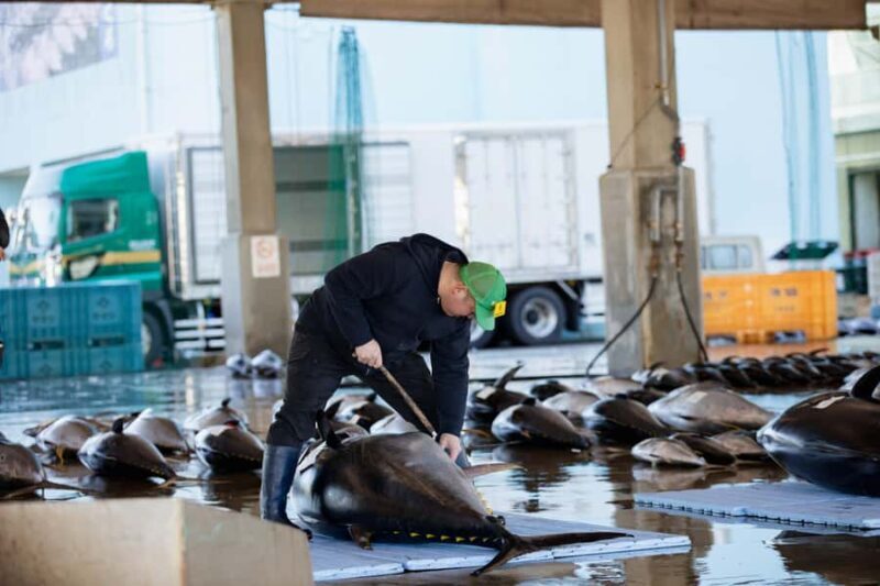 Tuna Auction Market Tour with Local Guide in Nachi-Katsuura - Exploring the Tuna Market Tour in Nachi-Katsuura: Authentic and Insightful