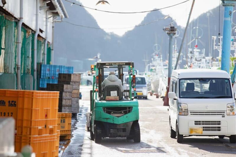 Tuna Auction Market Tour with Local Guide in Nachi-Katsuura - Who Will Love This?