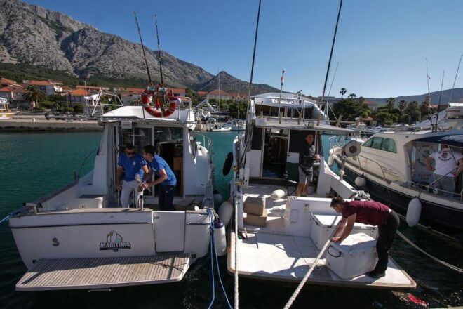 Tuna Fishing in Dubrovnik - Itinerary Highlights