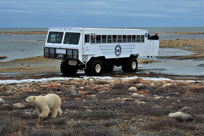 Tundra Buggy Autumn Day Tours - Dressing for the Cold Weather