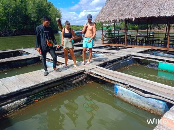 Tungyeepeng: Amazing Mangrove Boat Trip With Lunch - Community Engagement and Tourism