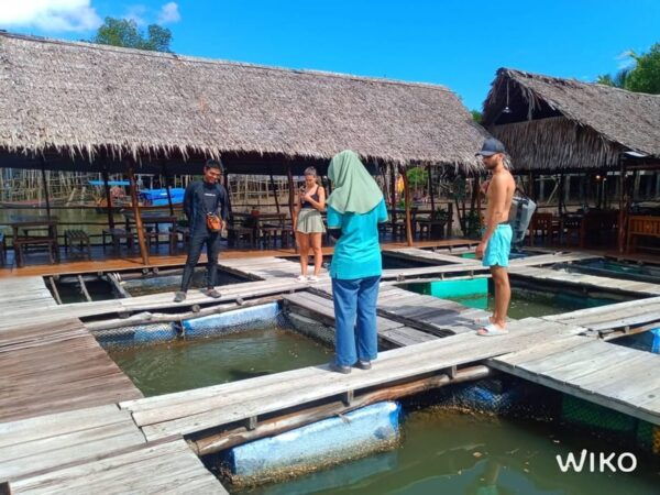 Tungyeepeng: Amazing Mangrove Boat Trip With Lunch - Tips for an Enjoyable Experience