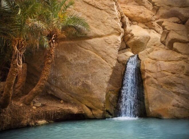 Tunis: 3-Day Sahara Explorer Guided Tour With Meals and Transfer - Additional Services