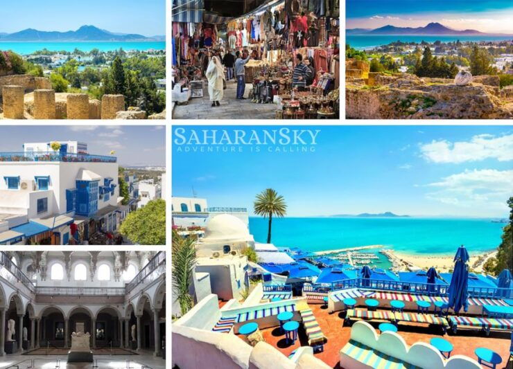 Tunis: Carthage, Sidi Bou Said and Medina Private Day Trip - Carthage Highlights and Landmarks
