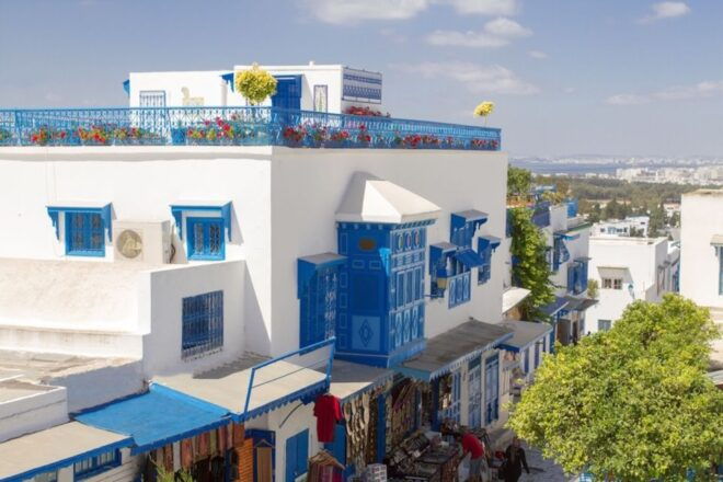 Tunis: Carthage, Sidi Bou Said and Medina Private Day Trip - Sidi Bou Said: Picturesque Village and Lunch