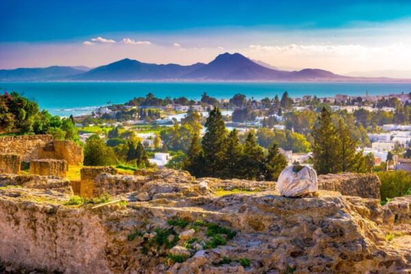 Tunis: Carthage, Sidi Bou Said and Medina Private Day Trip - Zitouna Mosque and Traditional Markets