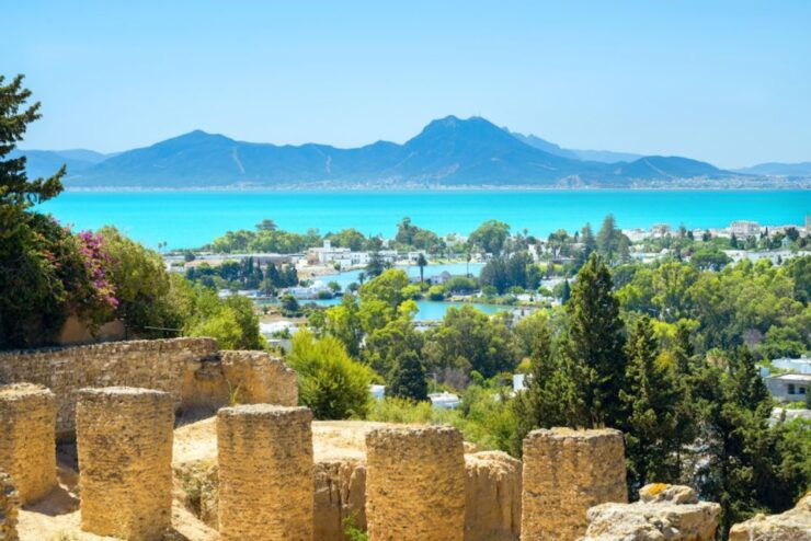 Tunis: Full-Day Sightseeing Tour With Lunch - Activity Details