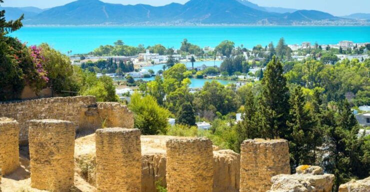 Tunis: Full-Day Sightseeing Tour With Lunch - Tour Highlights