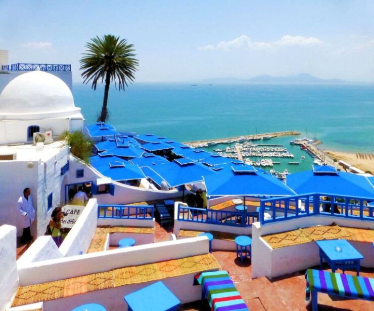 Tunis Governorate: Full-Day Tour - Discover the Bardo Museums Roman Mosaics