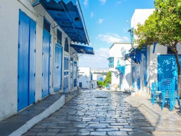 Tunis Governorate: Full-Day Tour - Common Questions
