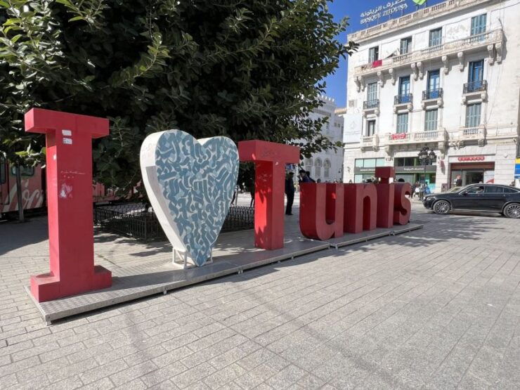 Tunis: Medina, Carthage, Sidi Bou Said, Bardo Private Tour - Tour Details