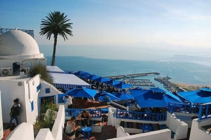 Tunis Medina , Carthage , Sidi Bou Said Shore Excursion - Tour Highlights