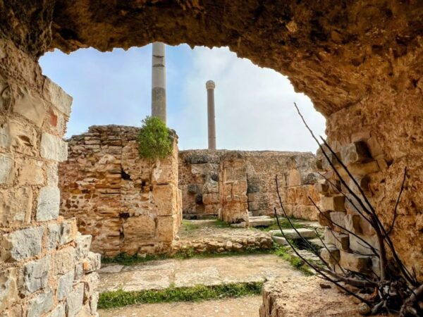Tunis Medina , Carthage , Sidi Bou Said Shore Excursion - Sightseeing Opportunities