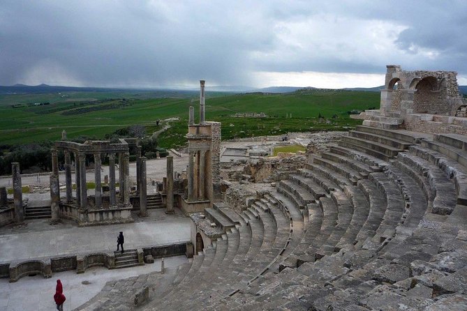 Tunis Private Dougga Guided Tour  - Tunisia - Inclusions