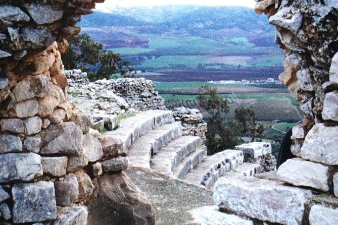 Tunis Private Dougga Guided Tour  - Tunisia - Cancellation Policy