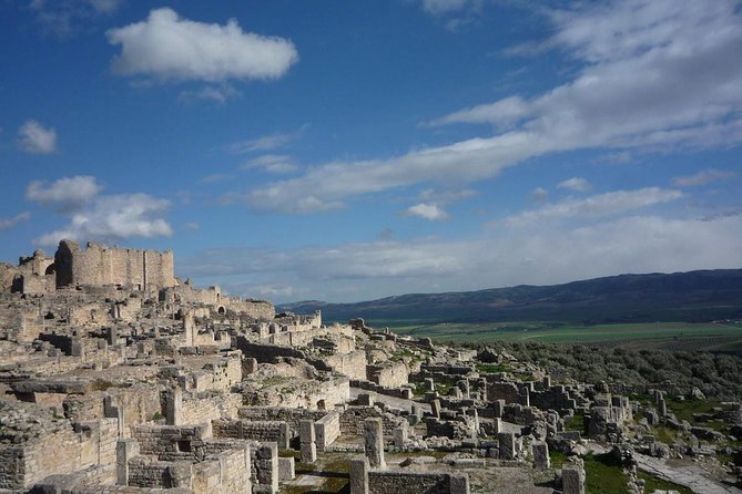 Tunis Private Dougga Guided Tour  - Tunisia - The Sum Up