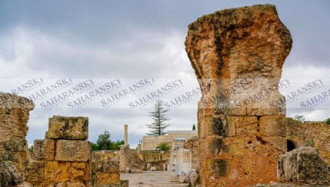 Tunis: Private Full-Day Tunis Highlights Tour - Immerse Yourself in the Tunis Medina