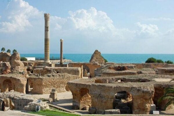 Tunis: Private Full-Day Tunis Highlights Tour - Convenient Hotel Transfers