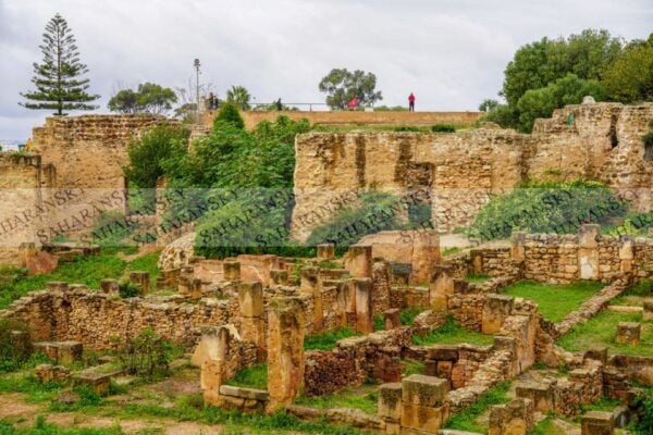 Tunis: Private Full-Day Tunis Highlights Tour - Additional Information and Location Details