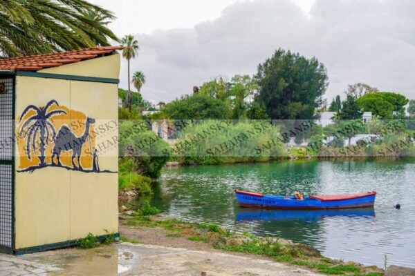 Tunis: Private Full-Day Tunis Highlights Tour - Common Questions