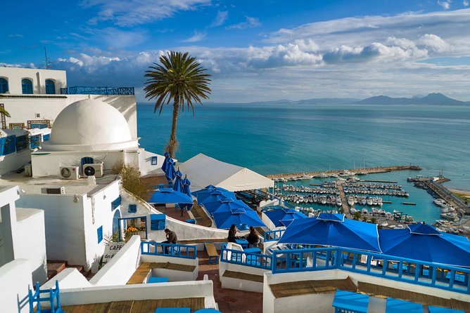 Tunis Private Transfer From Hammamet to Tunis Carthage (Tun) Airport - Preferred Transportation Options