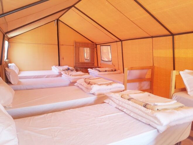 Tunisia: 3-Day Sahara Desert Camel Trek From Douz - Itinerary