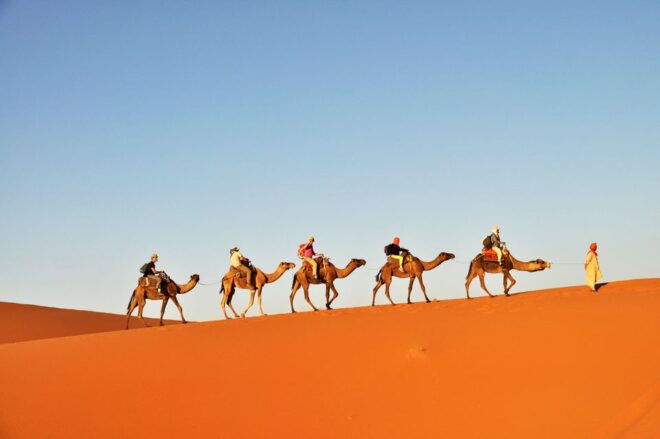 Tunisia: 3-Day Sahara Desert Camel Trek From Douz - Live Tour Guide Availability